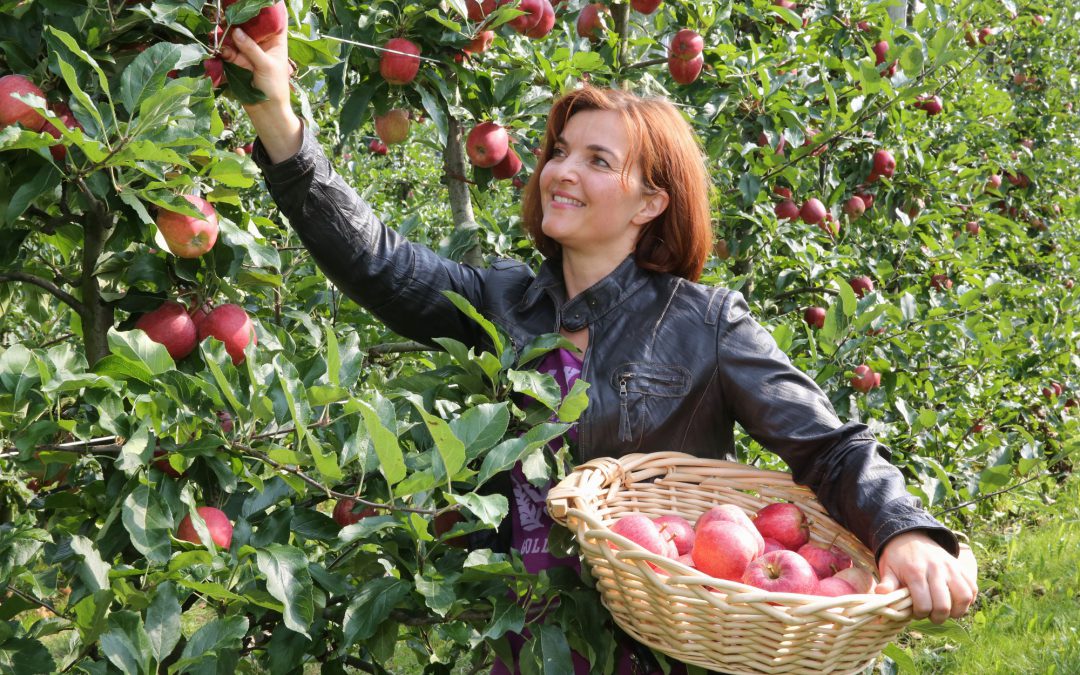 Freiherr von Hallberg (Topaz-Pinova)