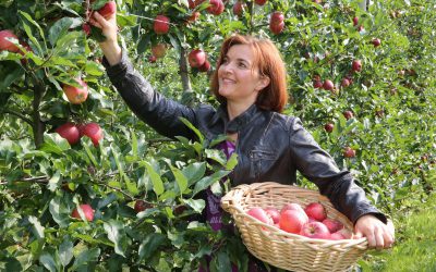 Freiherr von Hallberg (Topaz-Pinova)