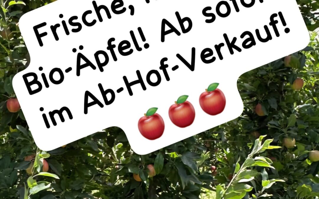Frische, knackige Äpfel